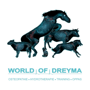 World of Dreyma logo