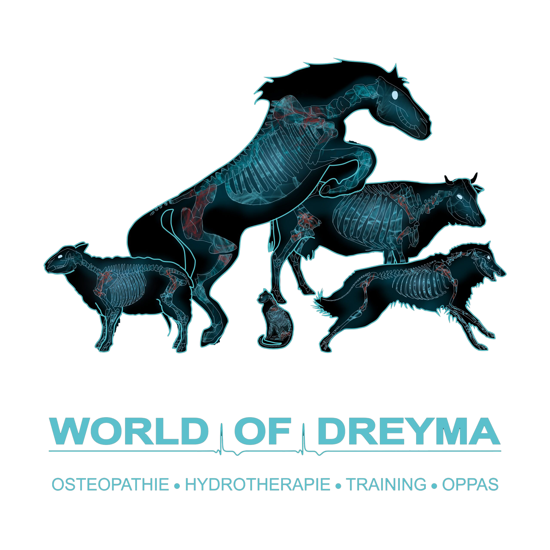 World of Dreyma logo